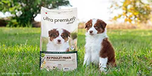 Ultra Premium Direct présente 4 recettes inédites de croquettes pour chiens