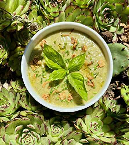 Gaspacho de courgettes