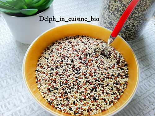 Cuisson du quinoa au Thermomix