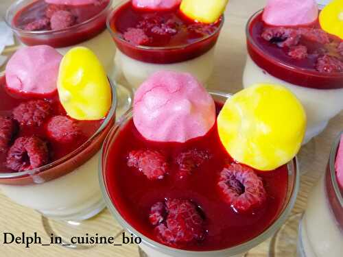 Mousse au chocolat blanc / coulis de framboises