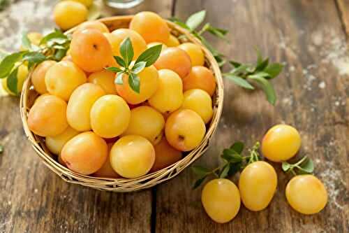 Faut-il décongeler les mirabelles pour faire une tarte