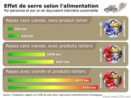 Pourquoi devenir végétarien ? Le végétarisme ?