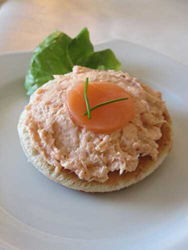 Rillettes épicées aux deux saumons