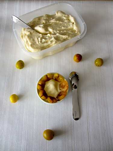 Sorbet à la mirabelle