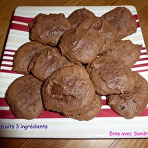 Des Biscuits au Chocolat -3 ingrédients seulement!-