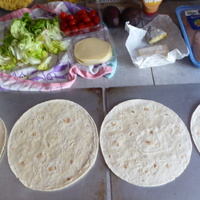 Des Wraps Poêlés