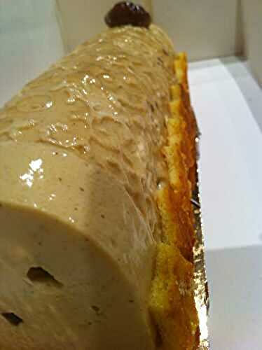 Bûche Divana Marrons