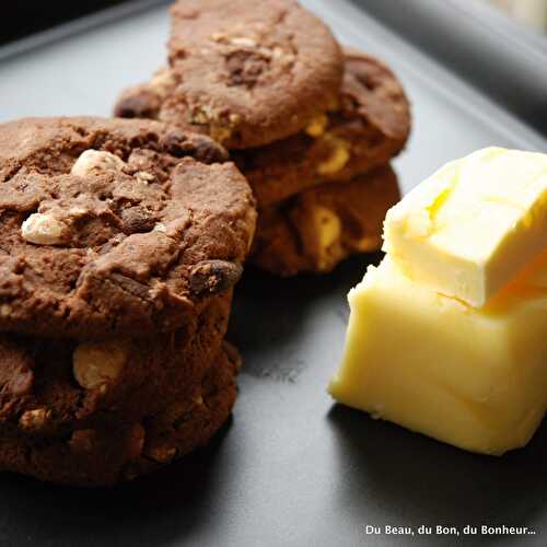 Gâteau biscuité tout chocolat