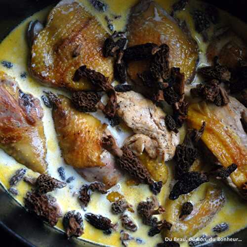 Poulet de Bresse au vin jaune et aux morilles