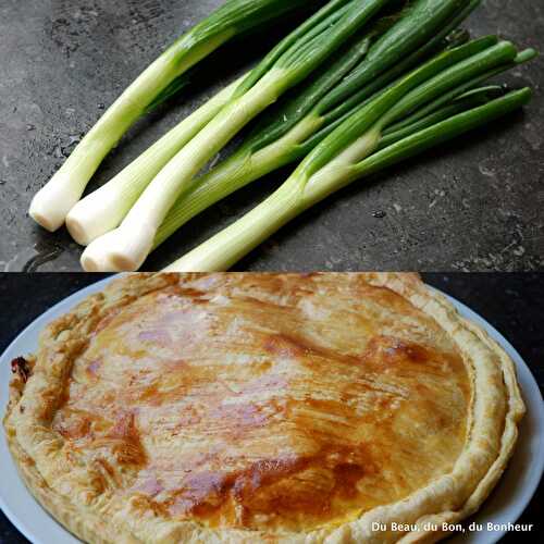 Tarte de ricotta aux cébettes