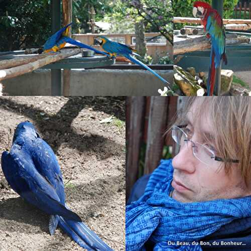 Une journée au zoo