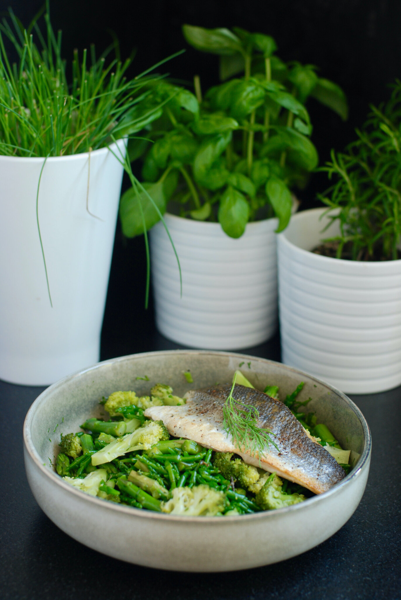 Salade toute verte 