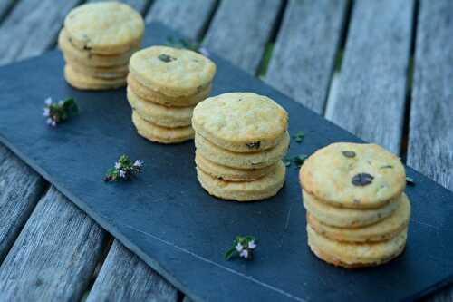 Biscuits au thym, à l’origan et au parmesan