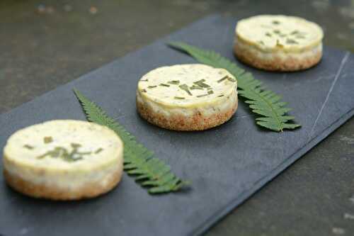 Cheese-cake au fromage frais ail et fines herbes