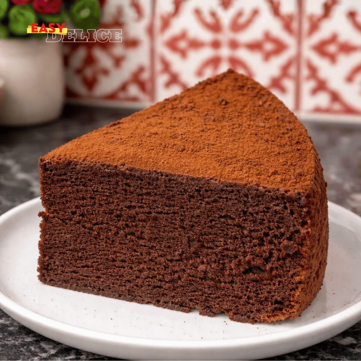 Gâteau Moelleux au Chocolat  Texture Haute & Aérée