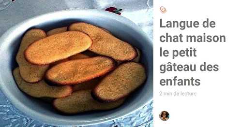 Langue de chat maison le petit gâteau des enfants.