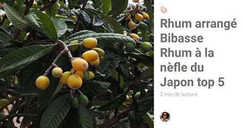 Rhum arrangé Bibasse Rhum à la nèfle du Japon top 5
