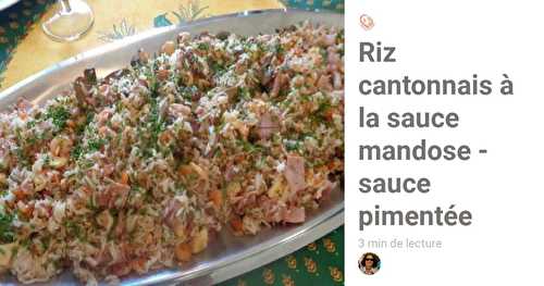 Riz cantonnais à la sauce mandose - sauce pimentée