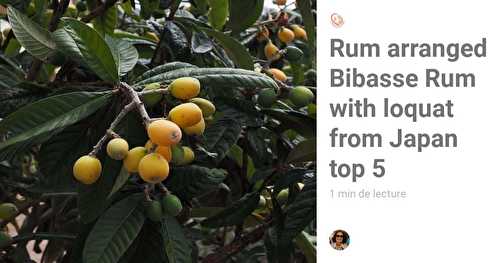 Rum arranged Bibasse Rum with loquat from Japan top 5