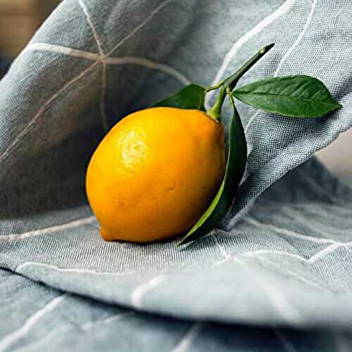 Citron - saveurs, variétés, bienfaits, citron en cuisine