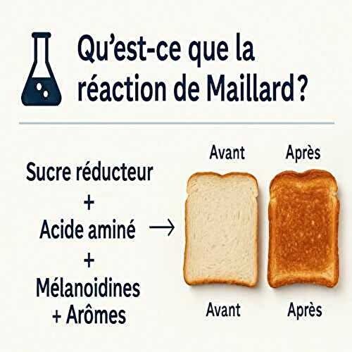 Qu'est-ce que la réaction de Maillard en cuisine ?