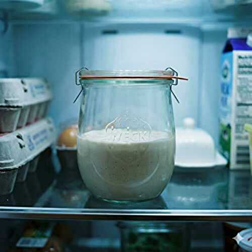 Conserver son levain en vacances : frigo ou séchage ? le guide