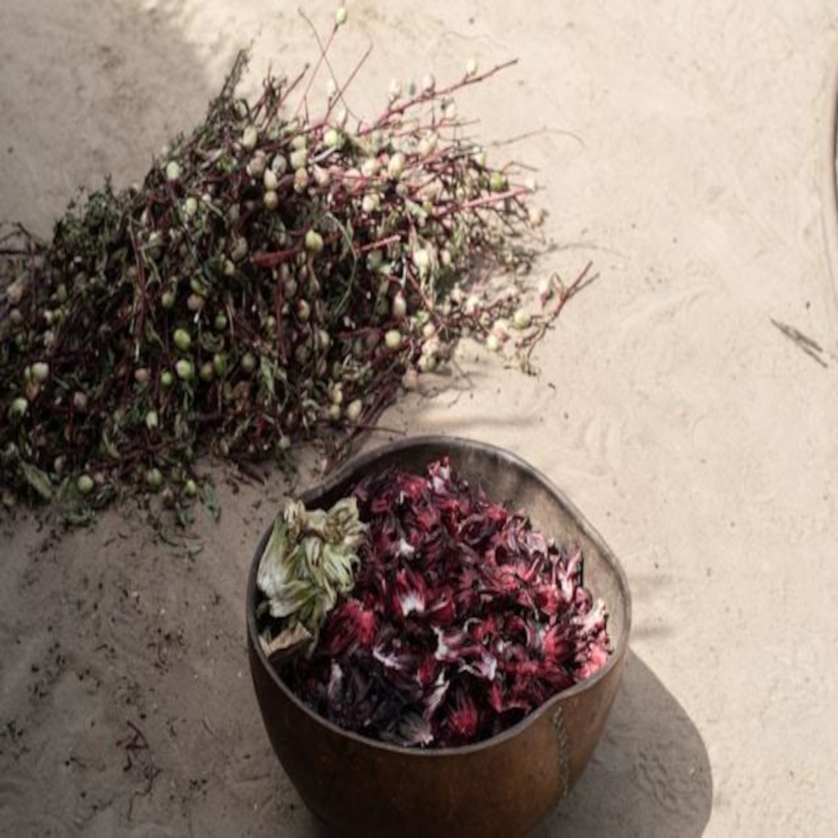 Bissap maison : l'infusion d'hibiscus glacée qui rafraîchit ton été