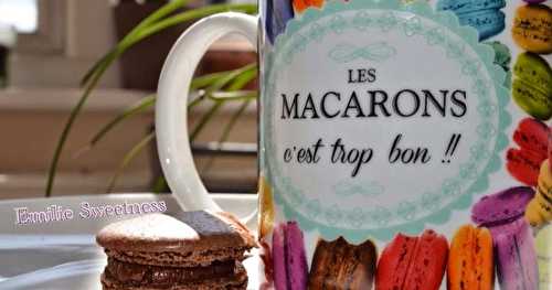 Macarons chocolat au lait Cemoi