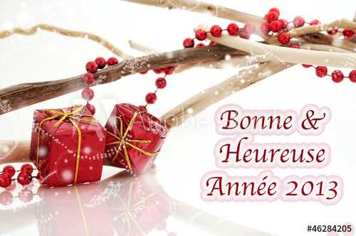 Bonne Année 2013