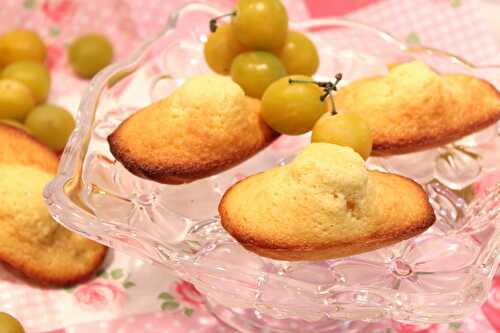 Madeleines aux mirabelles