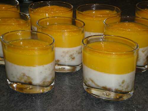 Panna cotta aux spéculoos et à la mangue