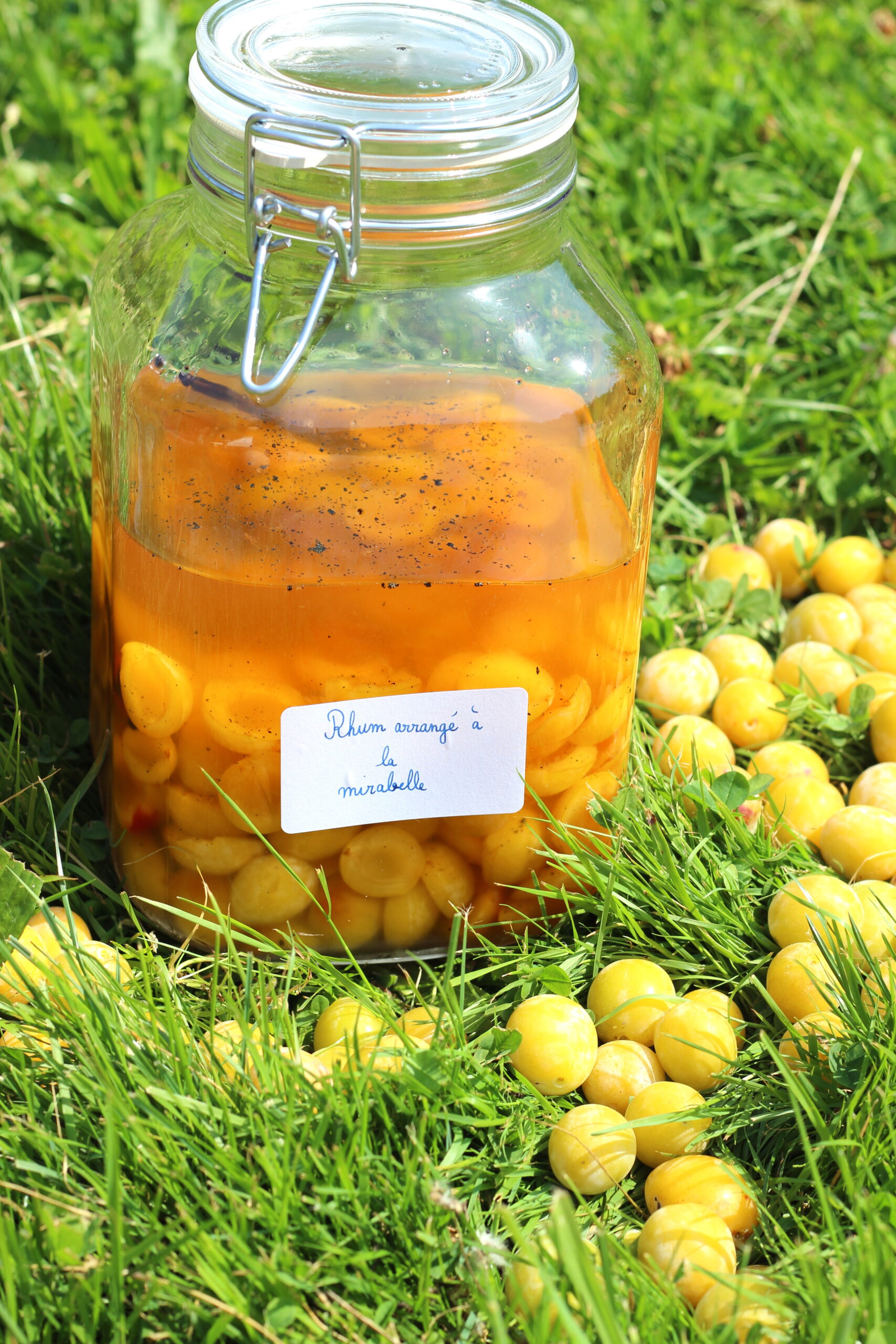 Rhum arrangé à la mirabelle