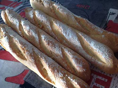 Baguettes du jour