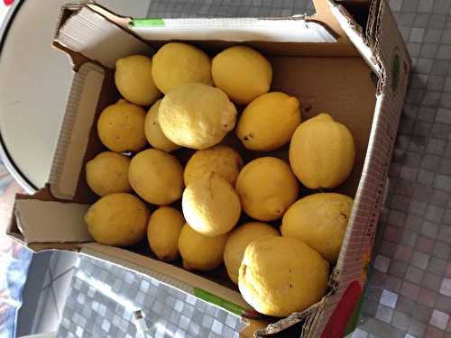 Sirop de citrons
