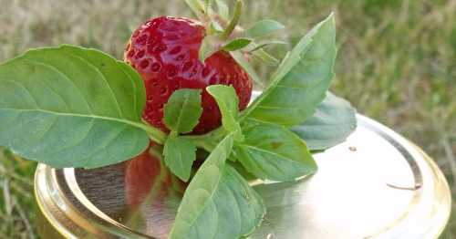 Confiture de fraises et basilic