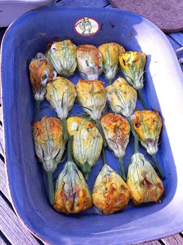 Fleurs de courgette farcies