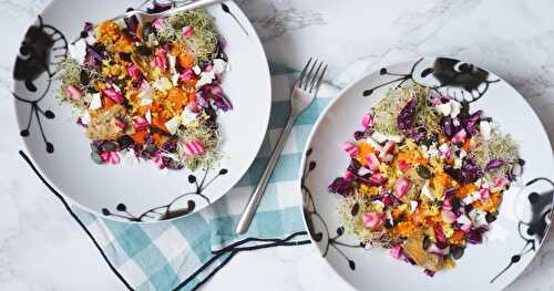 Assiette végétale complète : salade millet, potimarron, betterave, chou rouge, graines germées, feta...(hivernal, glutenfree, veggie, IG bas)