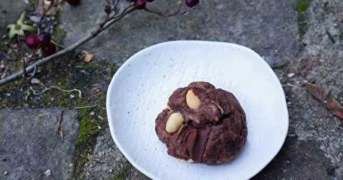 Cookies cacahuètes-chocolat (sans lactose, goûter)
