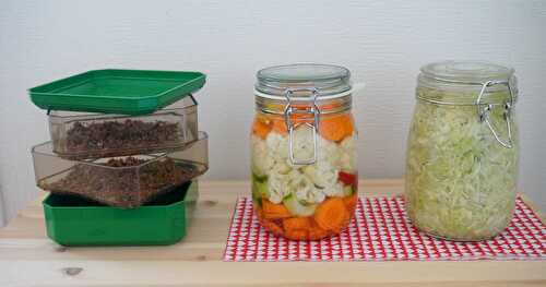 Mes ingrédients chouchous : les légumes lacto-fermentés