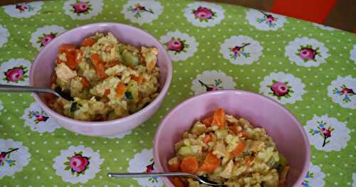 Mixture sympa : riz, saumon, carottes, courgettes, lait de coco (tout est dit!)