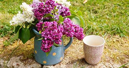 Quelques fleurs et quelques tasses pour changer !