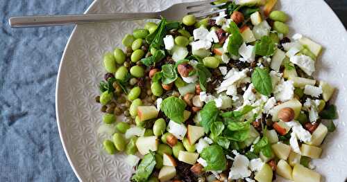 Salade lentilles-fèves-feta-menthe etc...!