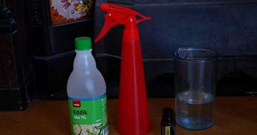 Spray multi-usages à l'huile essentielle de citron (pour changer un peu de la cuisine!)
