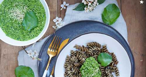 Torsades au chanvre, pesto cresson et chanvre (amap, vegan)