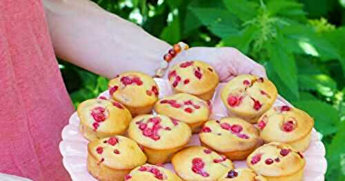 Mini muffins amande et groseilles (dessert, goûter, sans lactose)