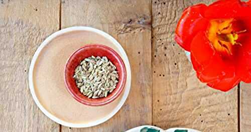 Lentilles noires, fenouil braisé (veggie, sans gluten)