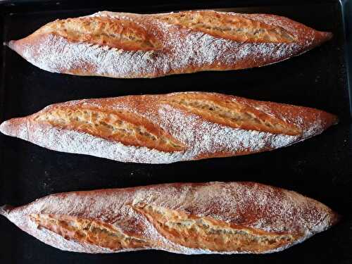 Baguettes tradition bio T65 selon Éric Kayser