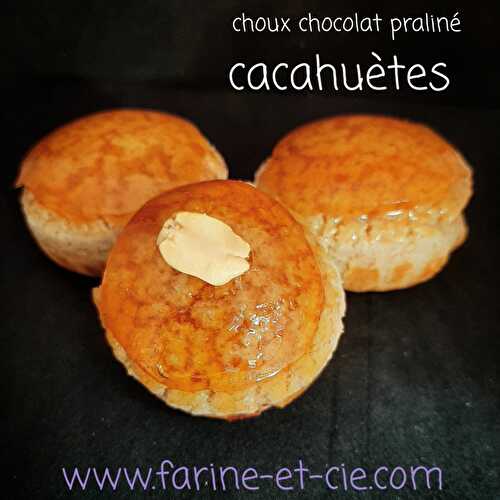 Choux au chocolat et praliné cacahuètes