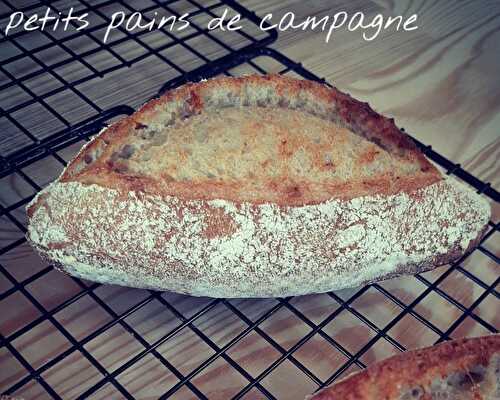 Pains de campagne 100% levain