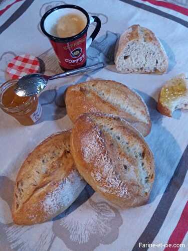 Petits pains aux graines SANS levain - farine-et-cie.com